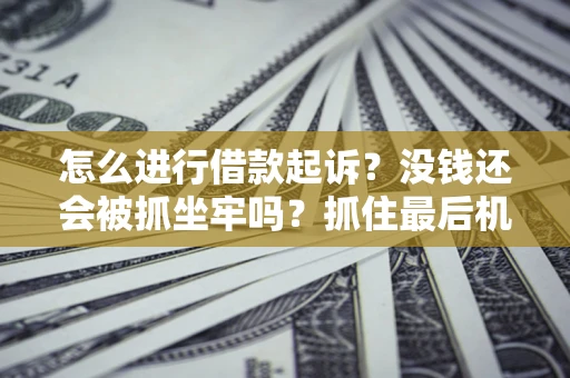 北京怎么进行借款起诉？没钱还会被抓坐牢吗？抓住最后机会！