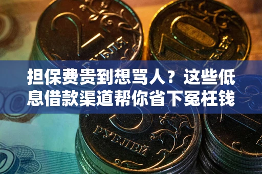 北京担保费贵到想骂人？这些低息借款渠道帮你省下冤枉钱
