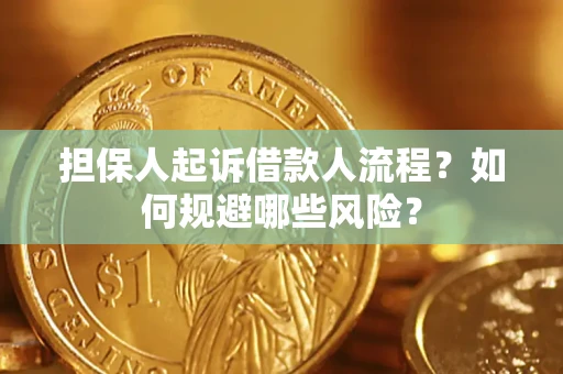 北京担保人起诉借款人流程？如何规避哪些风险？